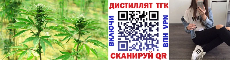 Дистиллят ТГК концентрат  где купить наркоту  Мамадыш 