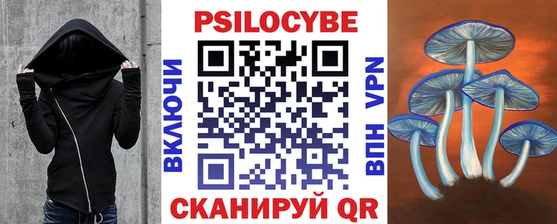 хочу наркоту  Мамадыш  MEGA вход  Галлюциногенные грибы Psilocybine cubensis 